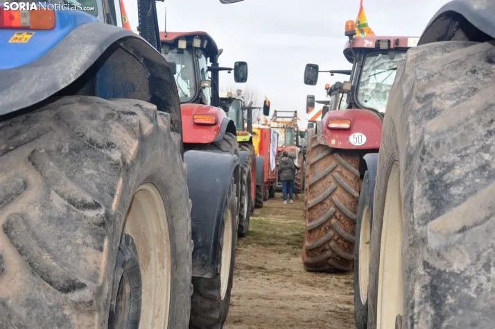 Tractorada independiente campo soriano