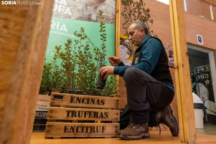 GALER&Iacute;A | Abejar inaugura su XXI Feria de la Trufa bajo la atenta mirada de cientos de personas