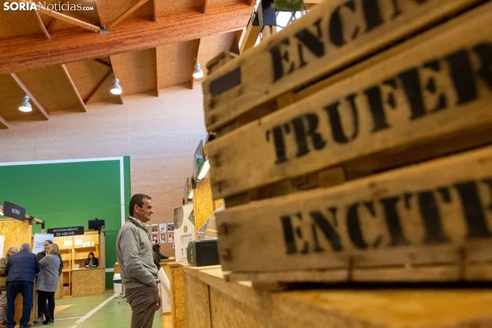 GALER&Iacute;A | Abejar inaugura su XXI Feria de la Trufa bajo la atenta mirada de cientos de personas