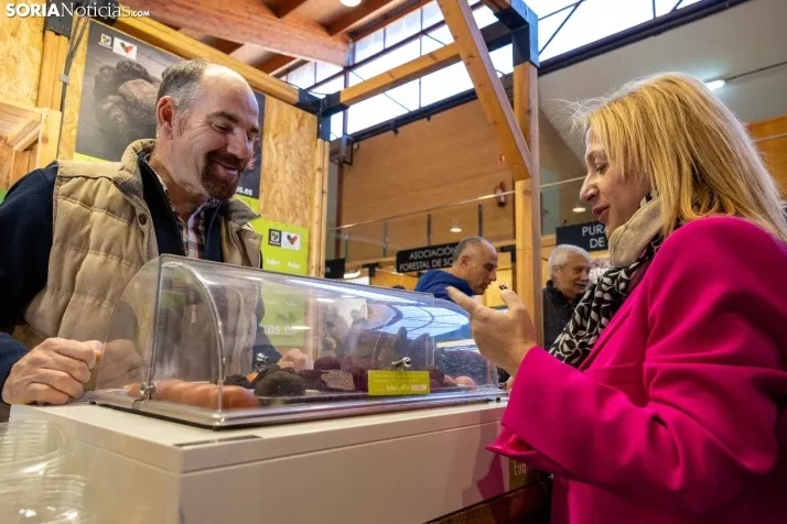 GALER&Iacute;A | Abejar inaugura su XXI Feria de la Trufa bajo la atenta mirada de cientos de personas