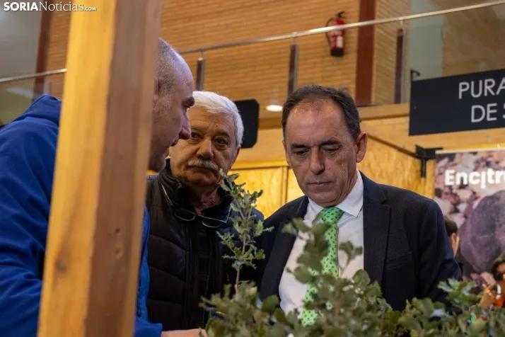 GALER&Iacute;A | Abejar inaugura su XXI Feria de la Trufa bajo la atenta mirada de cientos de personas