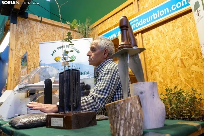 GALER&Iacute;A | Abejar inaugura su XXI Feria de la Trufa bajo la atenta mirada de cientos de personas