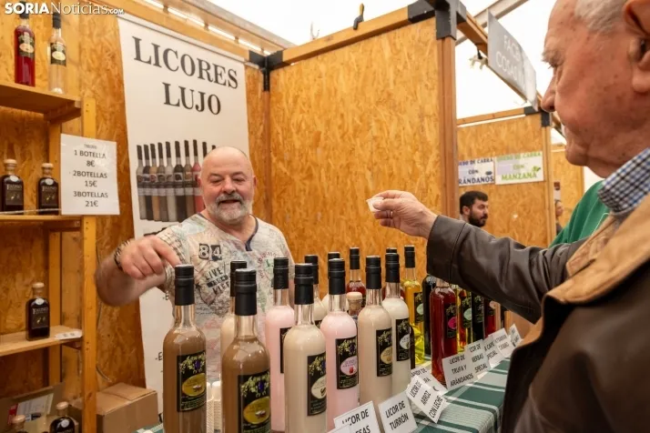 GALER&Iacute;A | Abejar inaugura su XXI Feria de la Trufa bajo la atenta mirada de cientos de personas