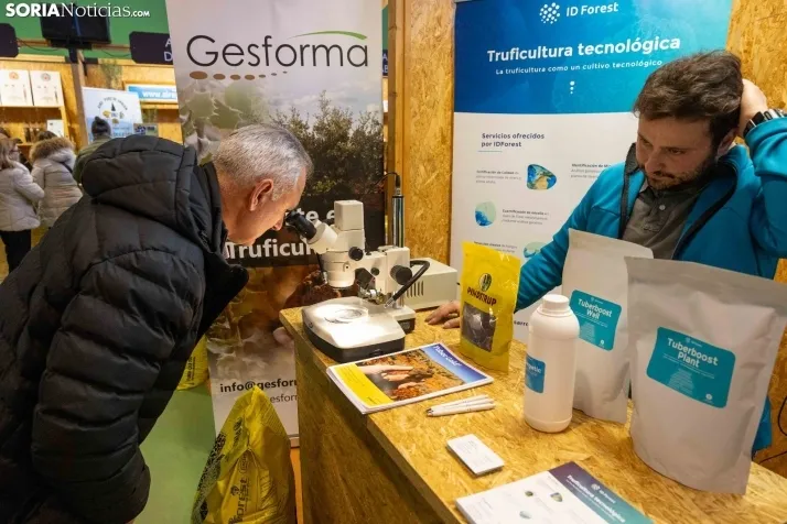 GALER&Iacute;A | Abejar inaugura su XXI Feria de la Trufa bajo la atenta mirada de cientos de personas