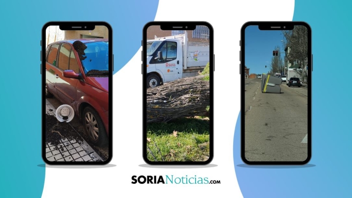 Fotos: El viento causa estragos en Soria