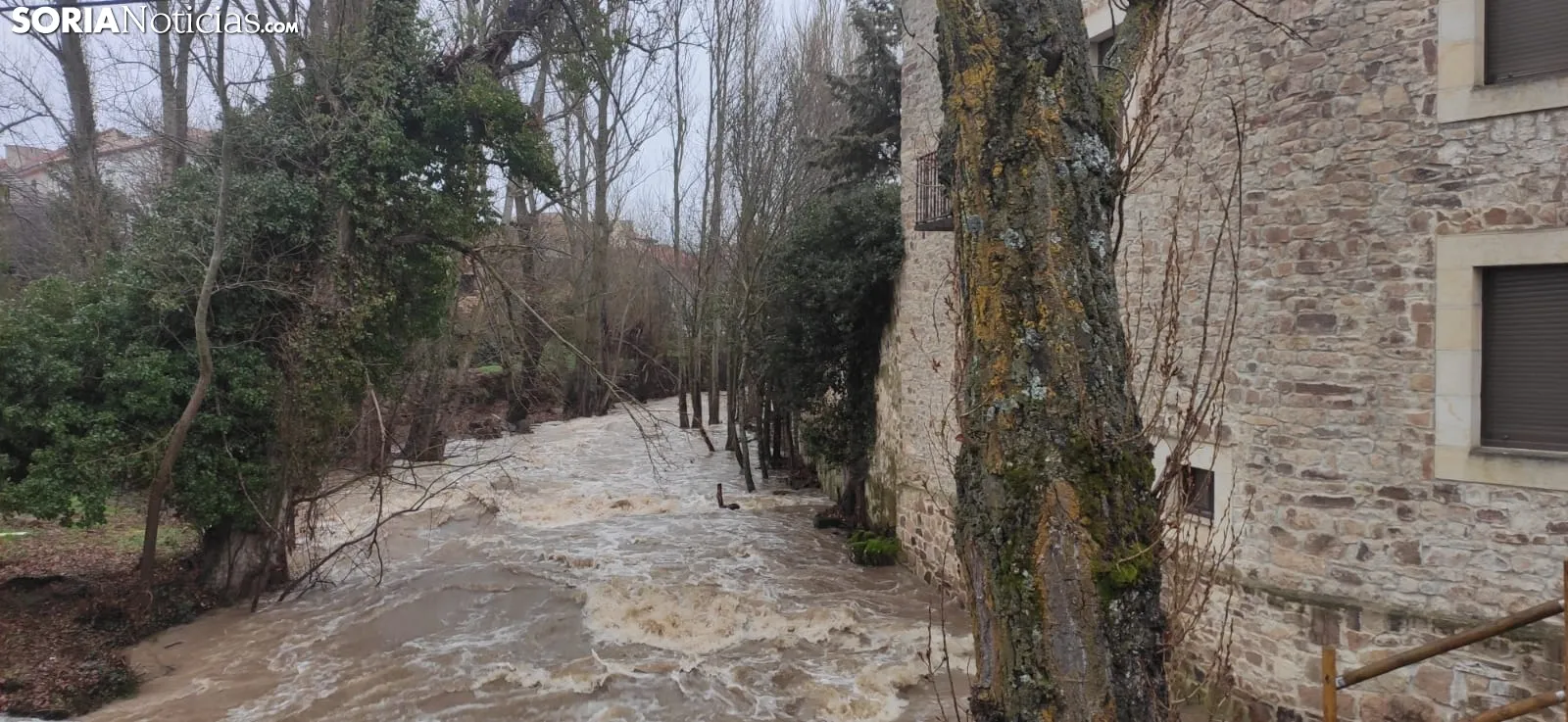 Foto 9 - En im&aacute;genes: El Duero y el Tera bajan con fuerza por Garray y Almarza