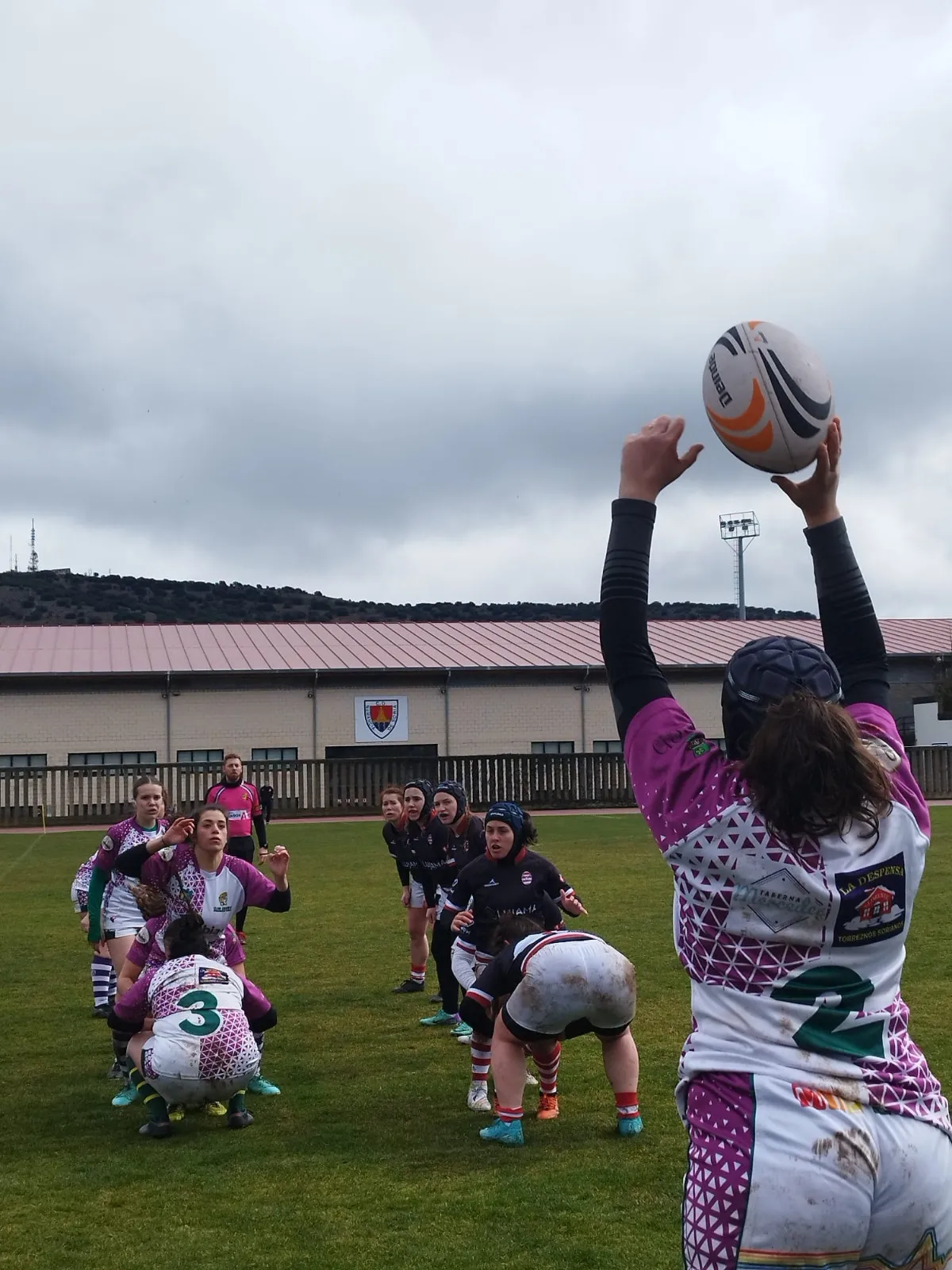 El rugby soriano, a pleno rendimiento. /IGS
