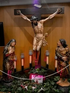 Varias imágenes de la muestra. /Satur Lafuente