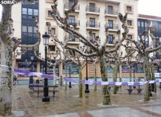 Cadeneta feminista del 8M en Soria. /SN
