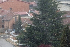 Foto 9 - Blanco domingo de Pascua en Soria 