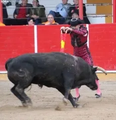 Corrida en Fitero. /Santos Gómez.
