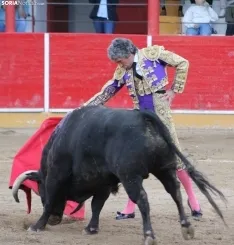 Corrida en Fitero. /Santos Gómez.