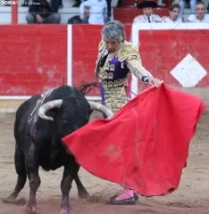 Corrida en Fitero. /Santos Gómez.
