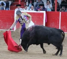 Corrida en Fitero. /Santos Gómez.