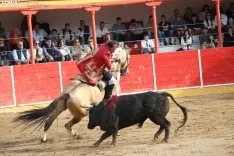Corrida en Fitero. /Santos Gómez.