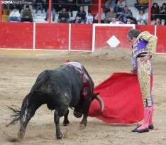 Corrida en Fitero. /Santos Gómez.