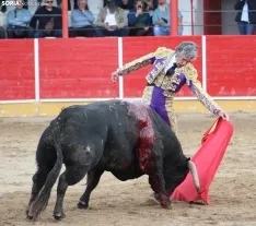 Corrida en Fitero. /Santos Gómez.
