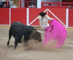 Corrida en Fitero. /Santos Gómez.