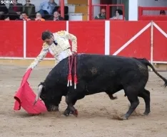 Corrida en Fitero. /Santos Gómez.