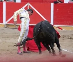 Corrida en Fitero. /Santos Gómez.