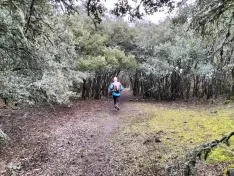 Foto 44 - As&iacute; queda la 2&ordf; Trail Puro Ox&iacute;geno