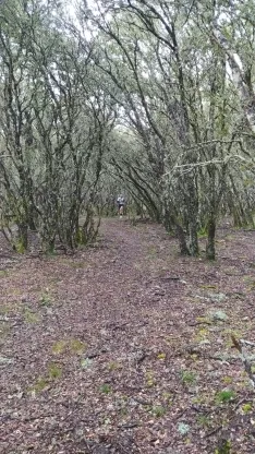 Foto 26 - As&iacute; queda la 2&ordf; Trail Puro Ox&iacute;geno