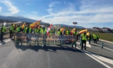 Imagen de la movilización en Segovia. 