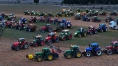 Una de las imágenes ayer en Garray. /SOS Rural
