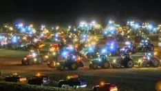 Una de las imágenes ayer en Garray. /SOS Rural