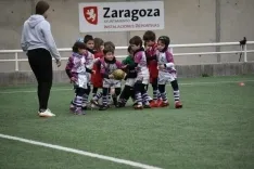 El rugby soriano, a pleno rendimiento. /IGS