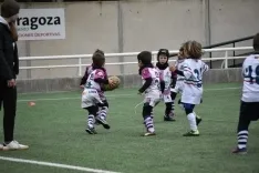El rugby soriano, a pleno rendimiento. /IGS