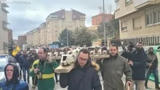 Manifestación por la ganadería extensiva. /SN