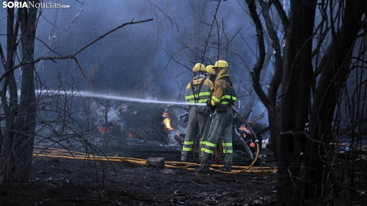 Aprobados los proyectos de ley que regulan las condiciones y funciones de bomberos forestales y agentes forestales y medioambientales