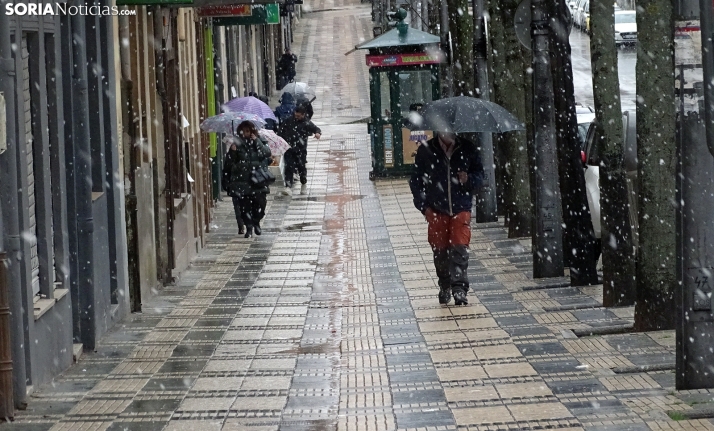 Llega la nieve a Soria