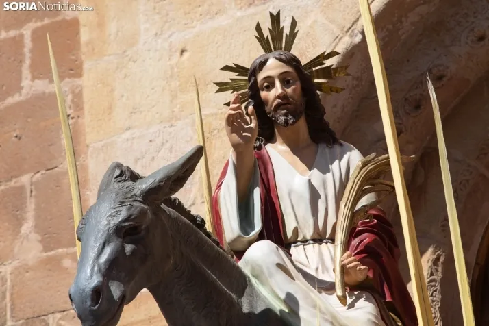 Procesión de La Borriquilla Soria 2024