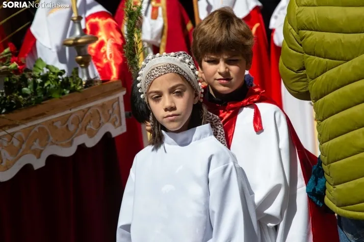 Procesión de La Borriquilla Soria 2024