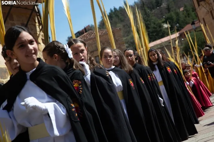 Procesión de La Borriquilla Soria 2024
