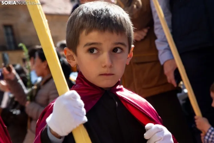 Procesión de La Borriquilla Soria 2024