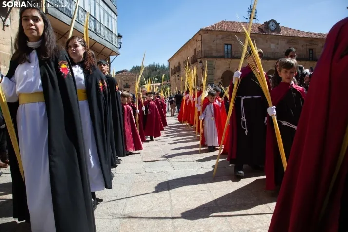 Procesión de La Borriquilla Soria 2024