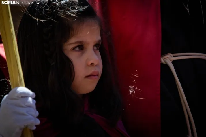 Procesión de La Borriquilla Soria 2024