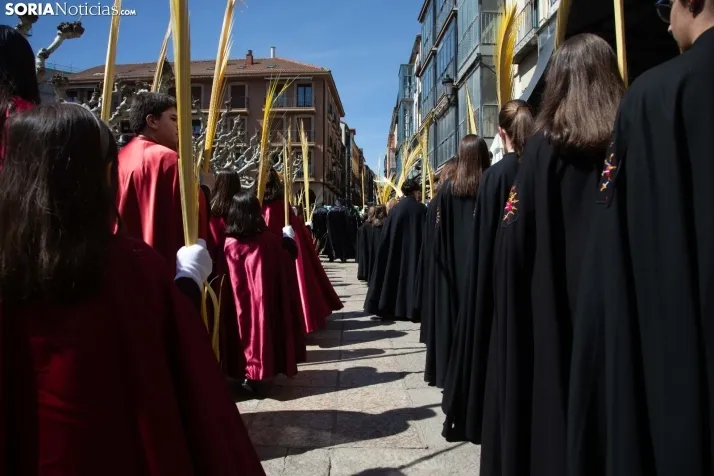 Procesión de La Borriquilla Soria 2024
