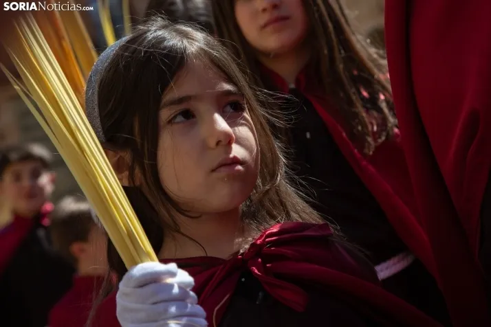 Procesión de La Borriquilla Soria 2024