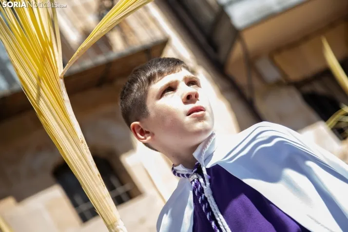 Procesión de La Borriquilla Soria 2024