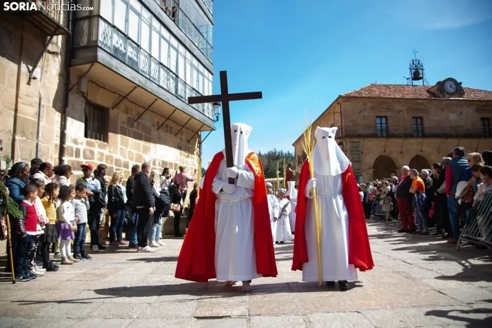 Procesión de La Borriquilla Soria 2024