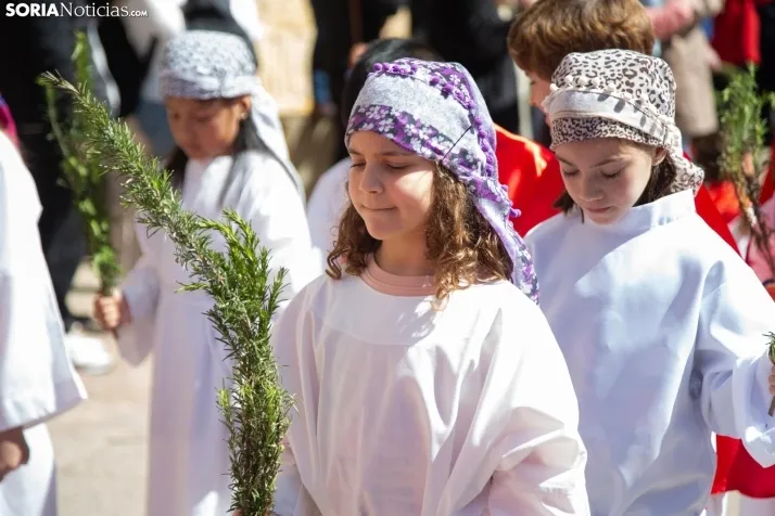 Procesión de La Borriquilla Soria 2024