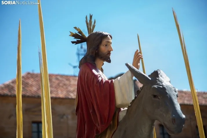 Procesión de La Borriquilla Soria 2024