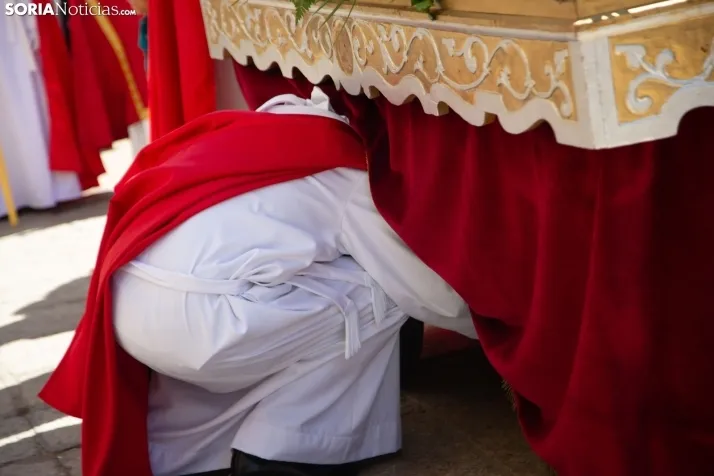 Procesión de La Borriquilla Soria 2024