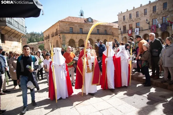 Procesión de La Borriquilla Soria 2024