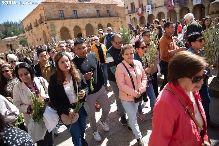 Procesión de La Borriquilla Soria 2024