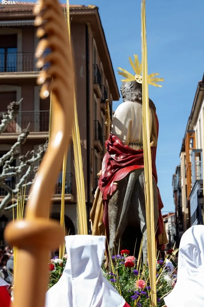 Procesión de La Borriquilla Soria 2024